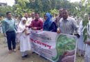 মেলান্দহে উমির উদ্দিন পাইলট উচ্চ বিদ্যালয় পরিদর্শনে জেলা প্রশাসক