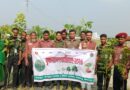 মাদারগঞ্জে আনসার-ভিডিপির উদ্যোগে গাছের চারা রোপণ