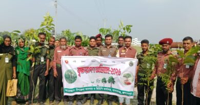 মাদারগঞ্জে আনসার-ভিডিপির উদ্যোগে গাছের চারা রোপণ