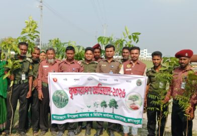 মাদারগঞ্জে আনসার-ভিডিপির উদ্যোগে গাছের চারা রোপণ
