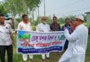 চেয়ারম্যান কিসমত পাশার উদ্যোগে নাংলায় ডেঙ্গু প্রতিরোধে পরিচ্ছন্নতা অভিযান