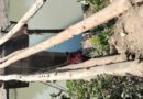 কুলিয়ায় ভাঙা সেতু সংস্কার করলেন চেয়ারম্যান প্রার্থী তৌহিদুল ইসলাম রঞ্জু