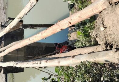 কুলিয়ায় ভাঙা সেতু সংস্কার করলেন চেয়ারম্যান প্রার্থী তৌহিদুল ইসলাম রঞ্জু